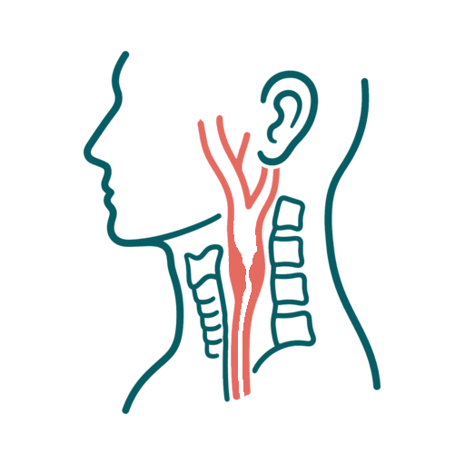 Carotid Artery Disease icon