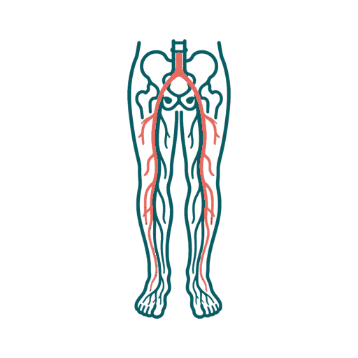 Complete Vascular Assessment icon