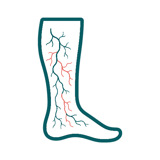 Spider Veins icon