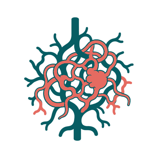 Vascular Malformation icon