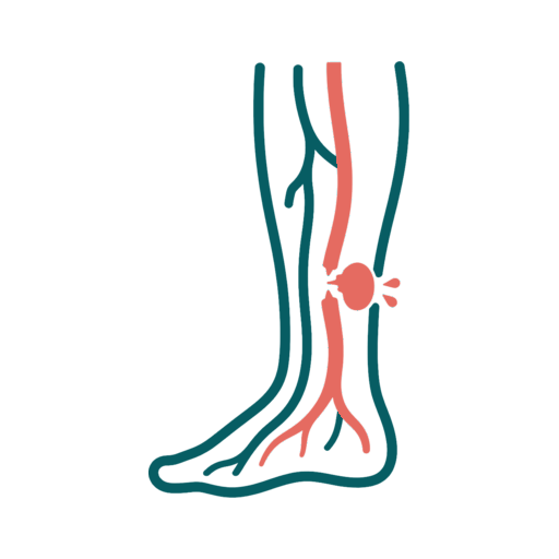 Vascular Trauma icon